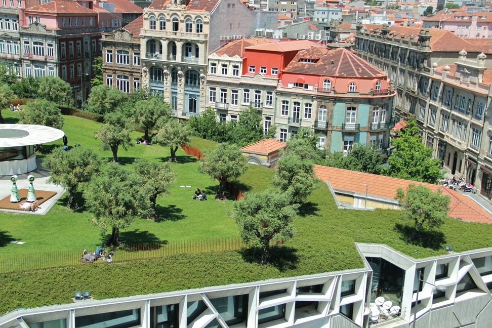 Porto quer renovar a paisagem com coberturas verdes