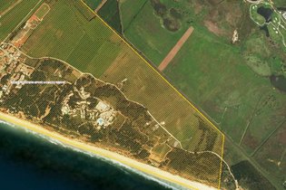 Projeto Sunset Albufeira chumbado pela comissão ambiental