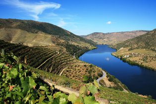 Douro Marina Hotel volta a ser travado