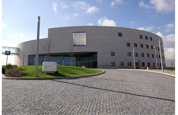Fundação Champalimaud constrói novo centro de investigação pancreático