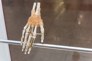 Nova exposição do MUDE inaugura nas Amoreiras