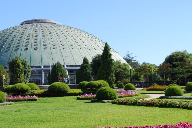 Pavilhão Rosa Mota pronto dentro de 6 meses