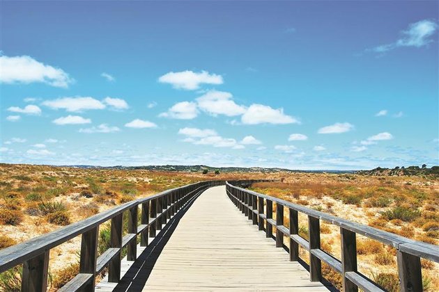 Projeto de Pais do Amaral em Alvor é chumbado