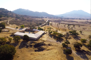 Grupo francês investe €10M em projeto Monsanto Verde