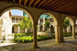 Turim e Hoti vencem novas concessões Revive