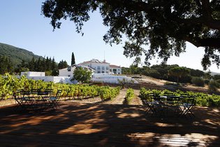 AHP: turismo interno poderá ser balão de oxigénio do verão
