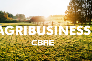 CBRE cria nova área de Agribusiness