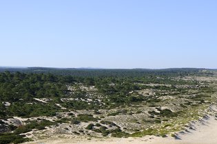 Infraestruturação do Terras da Comporta arranca em setembro