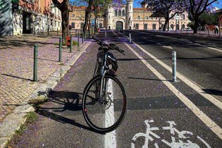 Rede ciclável de Lisboa vai duplicar no próximo ano