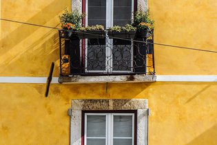 Programa Renda Segura já tem mais de 10.000 interessados