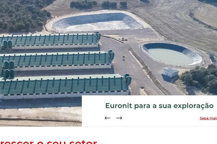 Euronit já está online para o mercado português