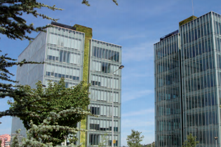 JLL assina nova “workplace stragegy” da Cofidis