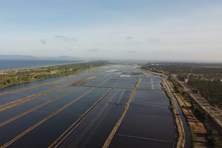 Vanguard Properties transforma Comporta em comunidade de energia renovável