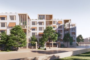 MOME garante gestão das cooperativas em “todas as fases do projeto”