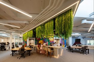 Novos escritórios da Sierra: “um espaço que reflete as novas formas de trabalho”