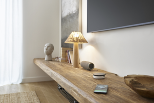 A casa inteligente como alavanca para a transição ecológica