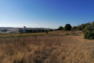 Empresa logística compra terreno de €2M no Carregado