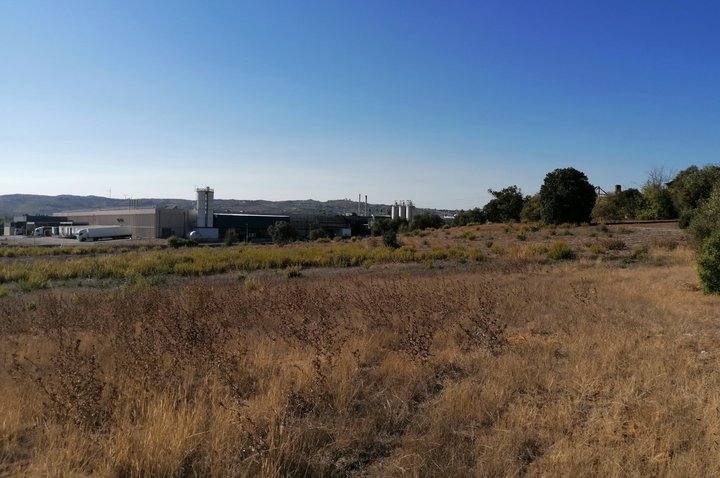 Empresa logística compra terreno de €2M no Carregado
