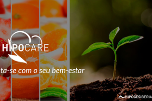 HipoGes reforça aposta no bem-estar físico e emocional dos colaboradores